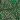 Emerald/Iridescent